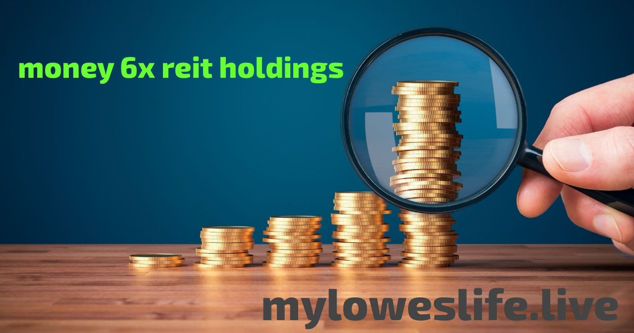 Understanding Money 6x REIT Holdings: What Investors Need to Know